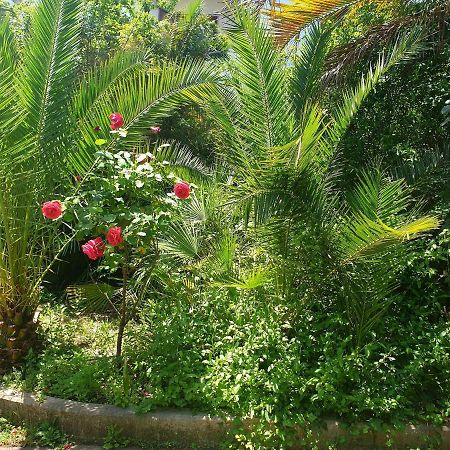 Quiet House Garden Naples-Pompei-Sorrento Villa Trecase Exteriör bild