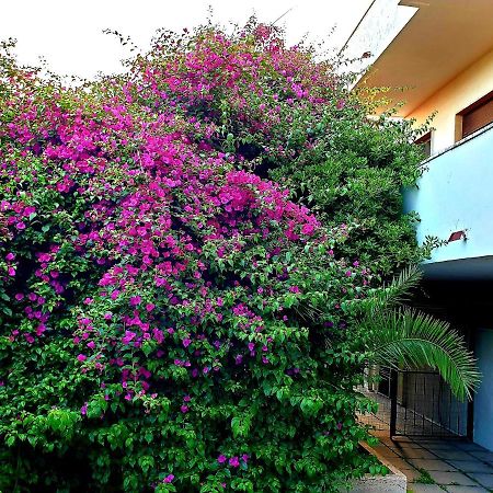 Quiet House Garden Naples-Pompei-Sorrento Villa Trecase Exteriör bild